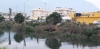 STRAGE DI ALBERI A TERRACINA